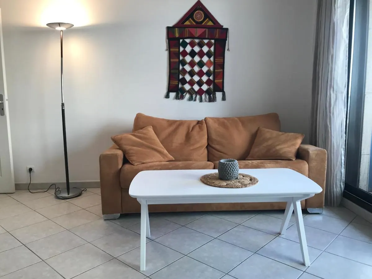 Apartment Studio W/ Balcony Ideal For Congress & Holidays Cannes